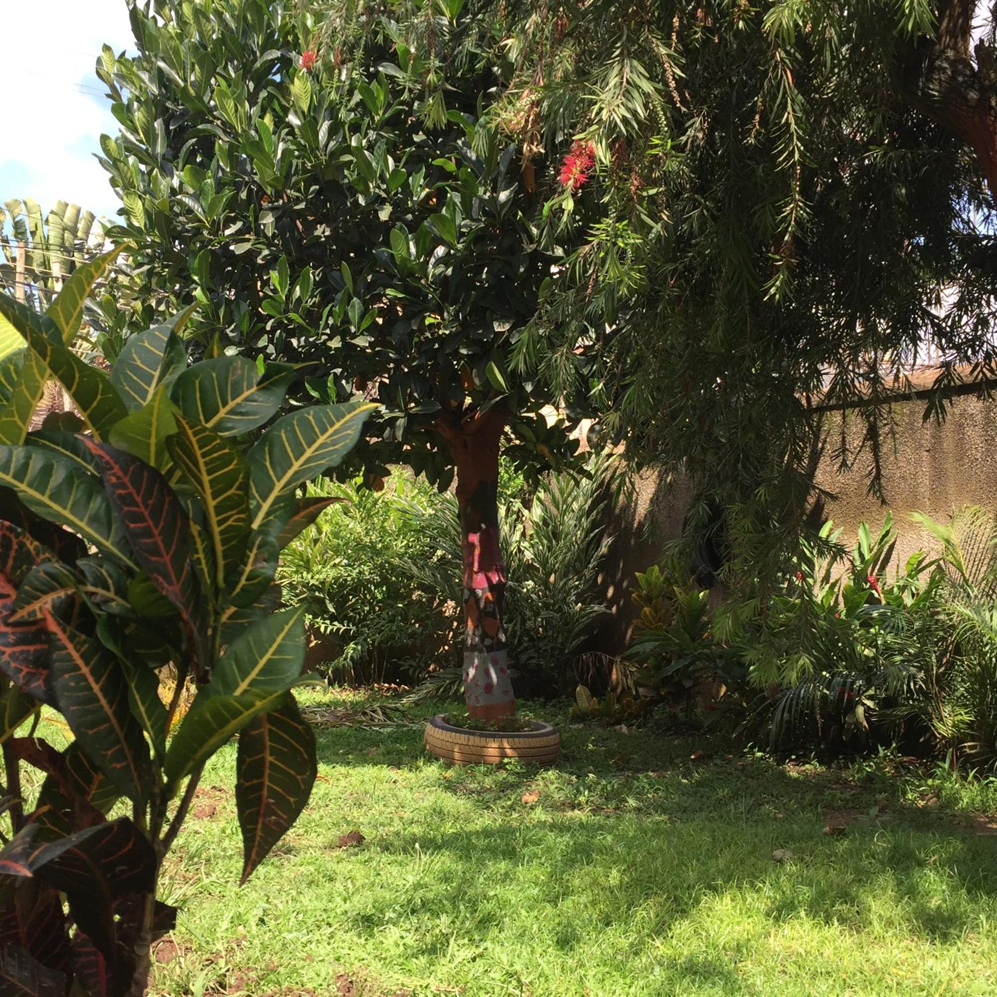Tgs Homestay Kampala Extérieur photo